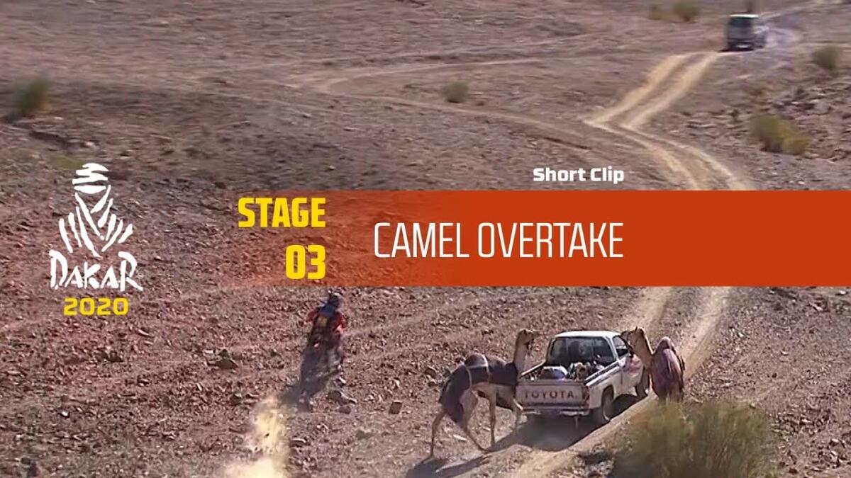 Ricky Brabec cède volontairement la tête du Dakar 2026 à l'étape 11 - Article RallyeRaid sur PitStopInsight