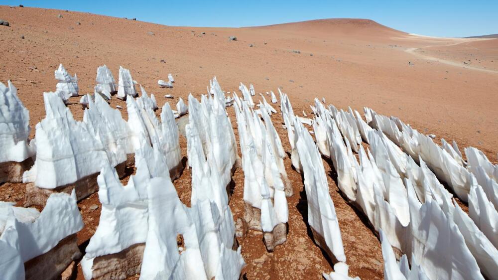 La désobéissance de Colapinto au GP des États-Unis face aux ordres d'Alpine - Article F1 sur PitStopInsight